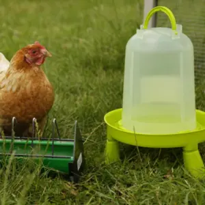 Foderautomater och tråg