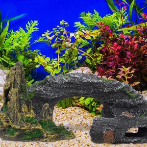 Terrarium Accessories