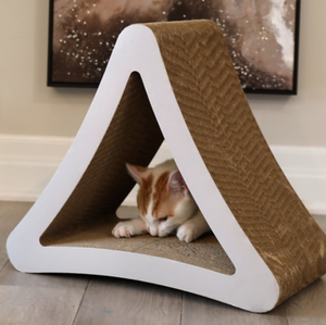 Cat Towers & Beds