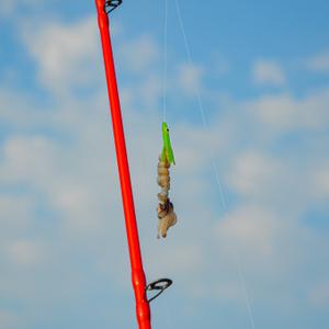 Baits