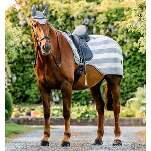 category Cavalos a trabalhar 