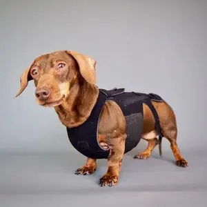 category Back Braces