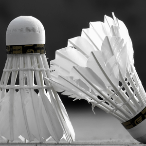Badminton