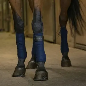 category Polo Strips