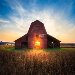 category The Barn Edit
