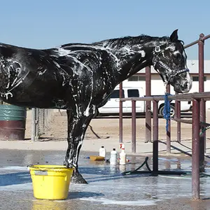 category Bathing Supplies