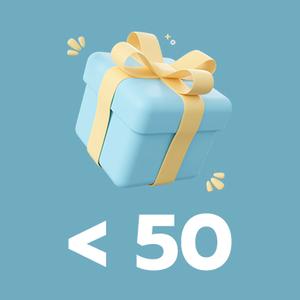 Gift Ideas under 50