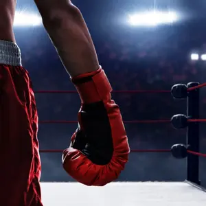 category Combat Sports