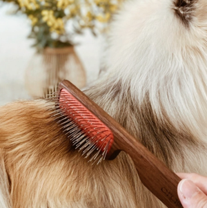 Brushes