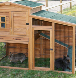 Cages & Spare Bins