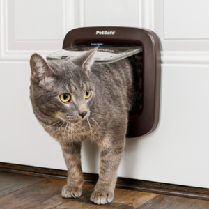 Cat Door