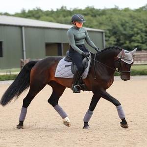 category Hästar i arbete