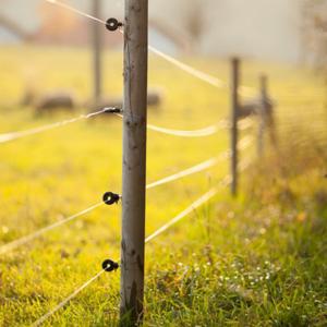 Fences