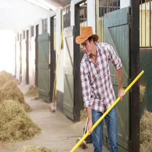 category Cleaning Products