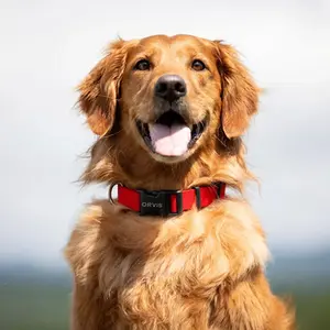 category Collars