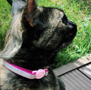 Collars