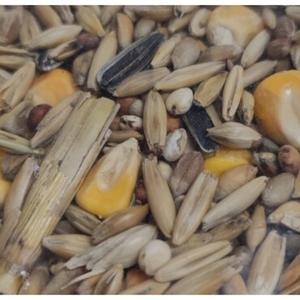 Supplements with Food