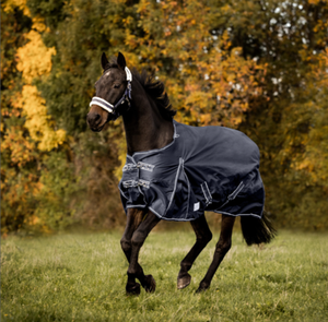 category Ausreitdecken