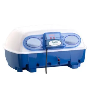 Inkubation och inkubatorer