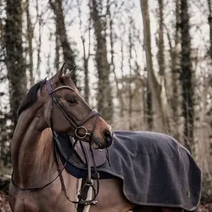 category Horse Blankets
