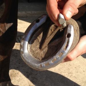 Stijgijzers/Accessoires