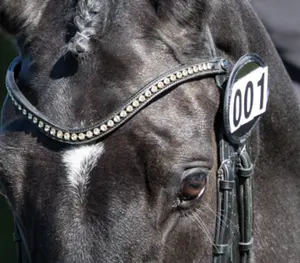 category Startnummern und Nummernhalter 