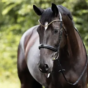 category Headsets & Fronts