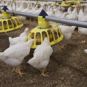 category Equipements