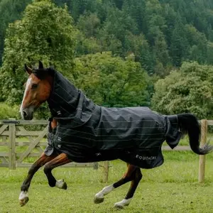 category Equithème