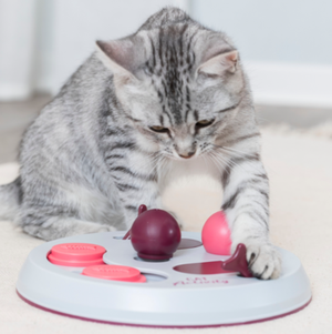 Cat Play Spaces
