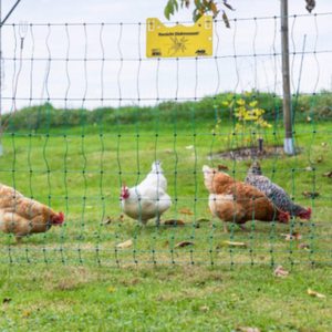 Netting for Poultry