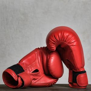 Boxhandschuhe