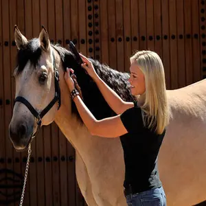 category The Grooming Edit