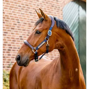 category Halters