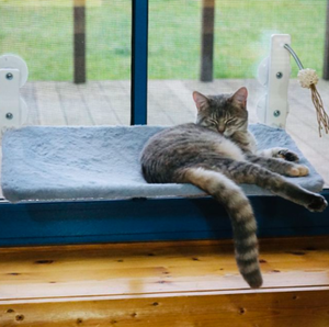 Hammocks