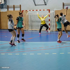Handball