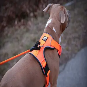 category Harnesses