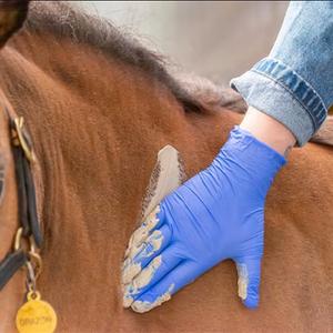 category Gewrichten/ledematen