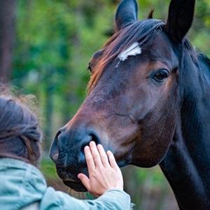 category Huidverzorging