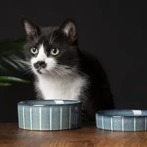 category Food