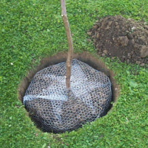 category Jardinería 