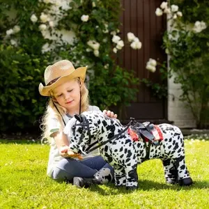 category Other Accessories