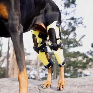 category Leg Braces