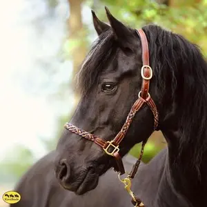 category Lederhalfter