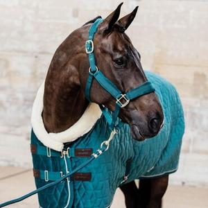 Halsters en loodsets