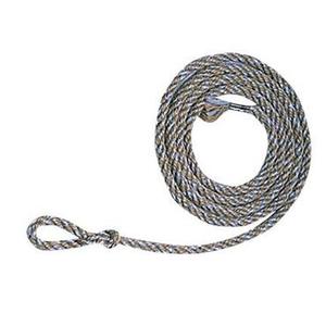 Halters, Collars & Lanyards