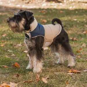 Kläder och accessoarer