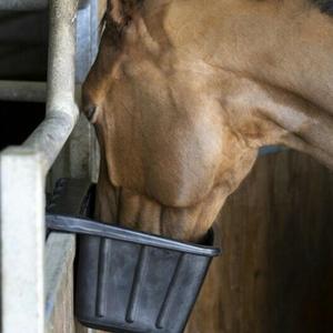 Drinkers/Feeders
