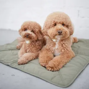 category Floor Mat