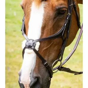 category Bits